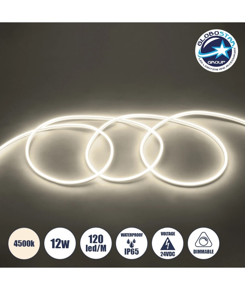 GLOBOSTAR® NEOVALE 70561 Ταινία Neon Flex LED 12W-m 960lm-m 120° DC 24V Αδιάβροχο IP65 120 x SMD2835 Chip-m Φυσικό Λευκό 4500K Dimmable - Sanan SMD Chip - Μ100 x Π0.8 x Υ1.6cm - 3 Χρόνια Εγγύηση